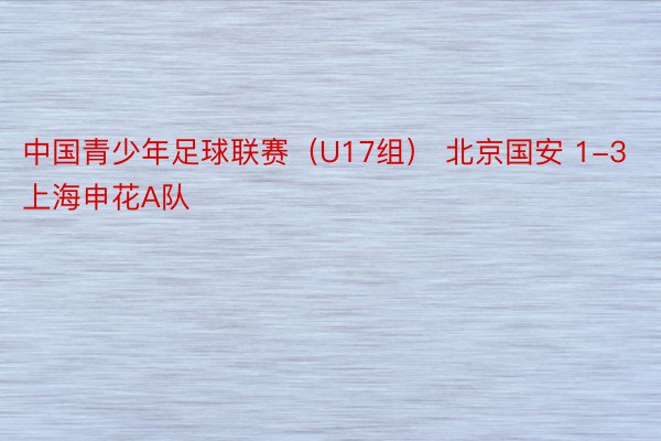 中国青少年足球联赛（U17组） 北京国安 1-3 上海申花A队